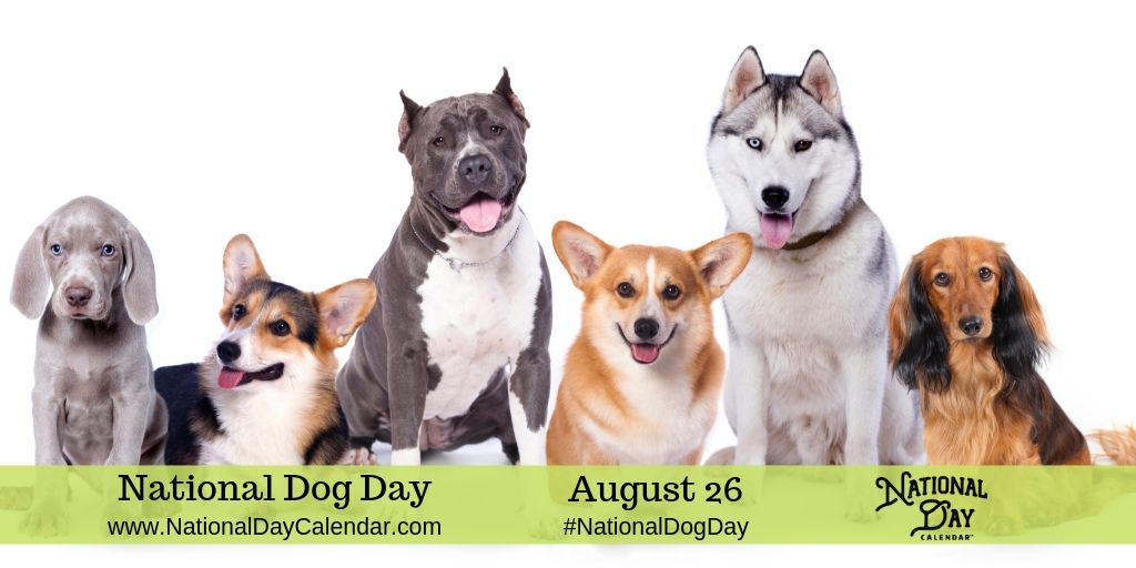 Monday, August 26 International Dog Day 2019 in United States – Polk County Tennessee EVENTS