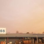 7/10 Flock Swap Burgess Feed Hardware Benton, TN