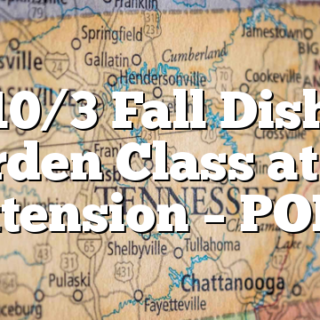 10/3 Fall Dish Garden Class at UT Extension – POLK
