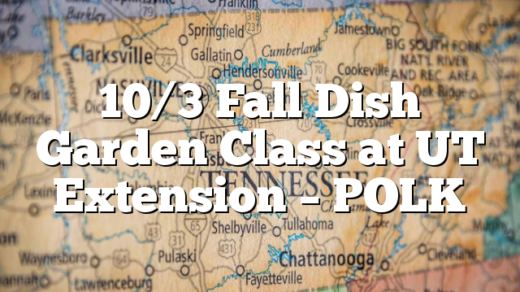 10/3 Fall Dish Garden Class at UT Extension – POLK
