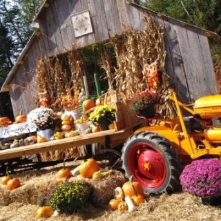 Cotton’s Place “The Station” in Benton TN Offers FREE Photo Opp for Community