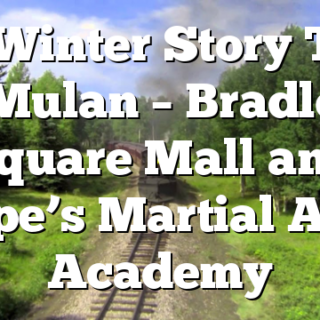 2/8 Winter Story Time – Mulan – Bradley Square Mall and Pope’s Martial Arts Academy