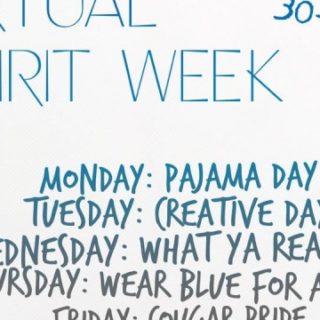 3/30-4/3 Virtual Spirit Week For Polk County