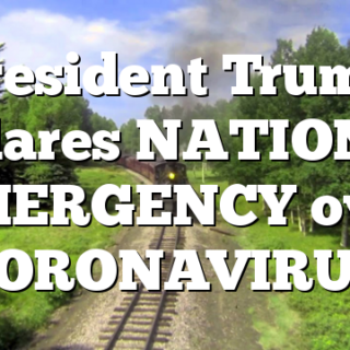 President Trump declares NATIONAL EMERGENCY over CORONAVIRUS