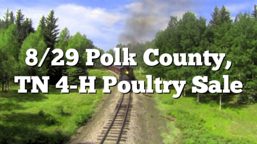 8/29 Polk County, TN 4-H Poultry Sale