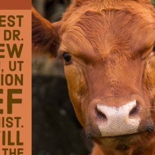 5/12 FB LIVE Session UT Extension Polk Covid Impact on Beef Lecture
