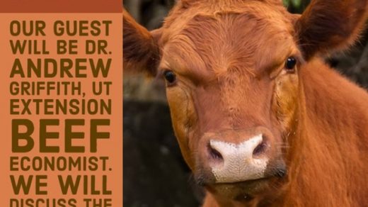 5/12 FB LIVE Session UT Extension Polk Covid Impact on Beef Lecture