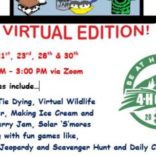 7/6 UT TSU Extension Polk County 4-H Camp 2020 (Virtual Edition!) Application Deadline