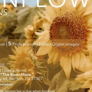 Sunflower 2020 Photo Sessions by Monica Belcher at Birchland Farms Ocoee, TN
