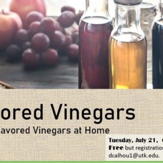 7/21 U T Extension – Polk County Flavored Vinegar Class