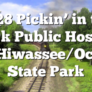 7/28 Pickin’ in the Park Public Hosted by Hiwassee/Ocoee State Park