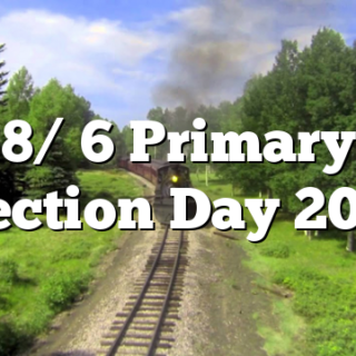 8/ 6 Primary Election Day 2020