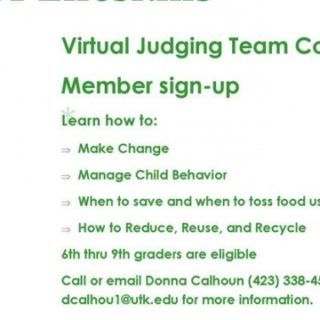 4-H Lifeskills Judging Team Virtual Event