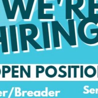 Cajun Lady Seafood is Hiring Ocoee, TN