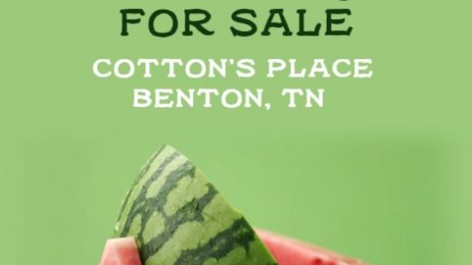 Watermelons For Sale at Cotton’s Place The Station Benton, TN