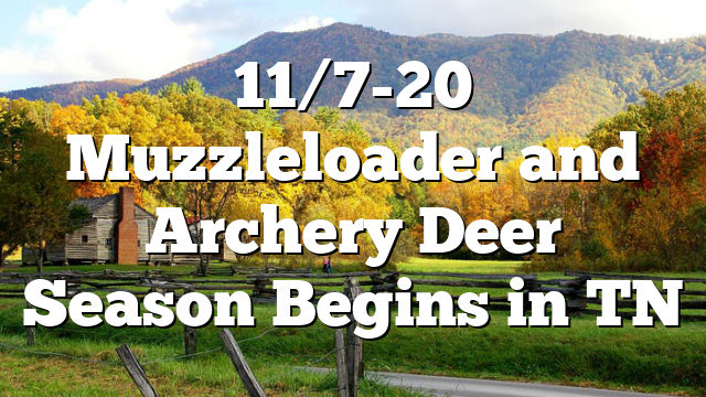 11/7-20 Muzzleloader and Archery Deer Season Begins in TN – Polk County
