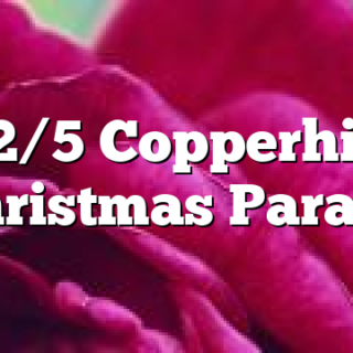 12/5 Copperhill Christmas Parade