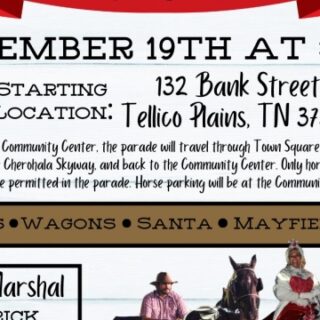 12/19 Tellico Horse Parade