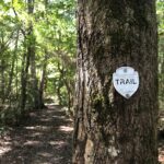 2/23 Day Hiking- The 10 Essentials (Registration Required)