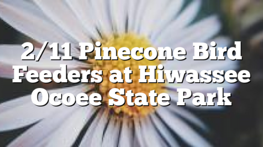 2/11 Pinecone Bird Feeders at Hiwassee Ocoee State Park