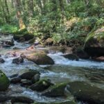 1/17 Fly-Fishing Weekend or Combo Fly-Rod Package Raffle Deadline by Trout Unlimited Hiwassee 640 Chapter