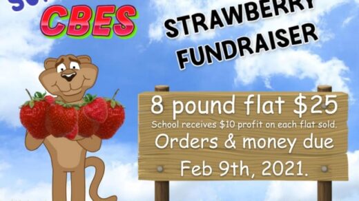 Copper Basin Elementary School Strawberry Fundraiser GOING ON NOW!