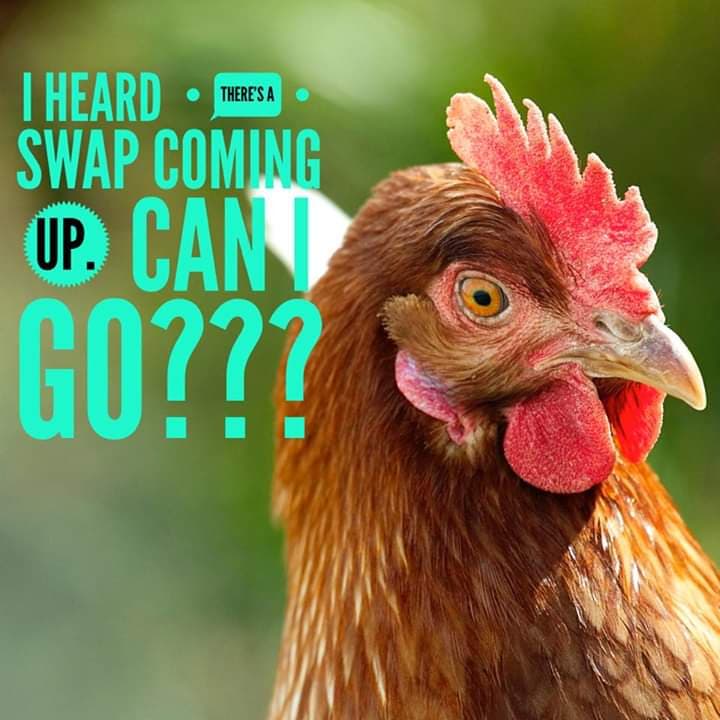 2/13 Flock Swap Burgess Feed & Farm Supply Benton, TN Polk County