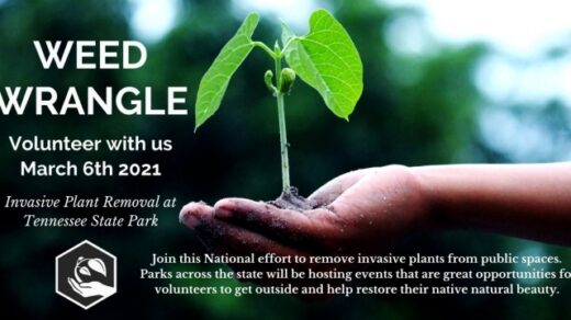 3/6 Weed Wrangle 2021 Nancy Ward Gravesite State Park