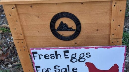 Farm Fresh Eggs For Sale at Ocoee Campin’ Benton, TN