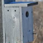 2/27 Build Your Own Bird House Hiwasseee Ocoee State Park