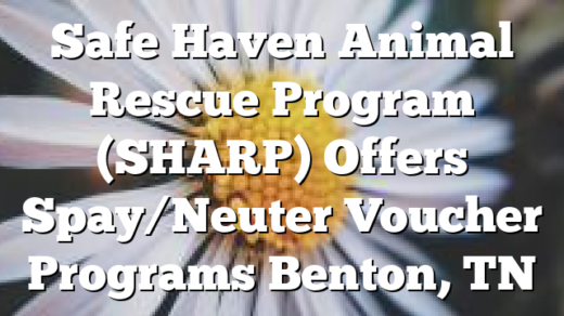 Safe Haven Animal Rescue Program (SHARP) Offers Spay/Neuter Voucher Programs Benton, TN