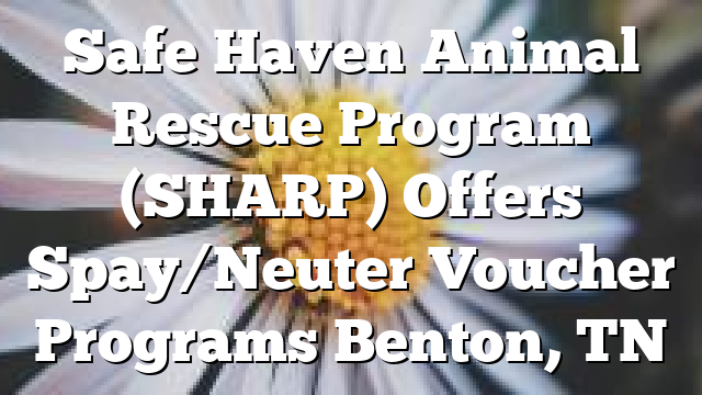 Safe Haven Animal Rescue Program SHARP Offers SpayNeuter Voucher 