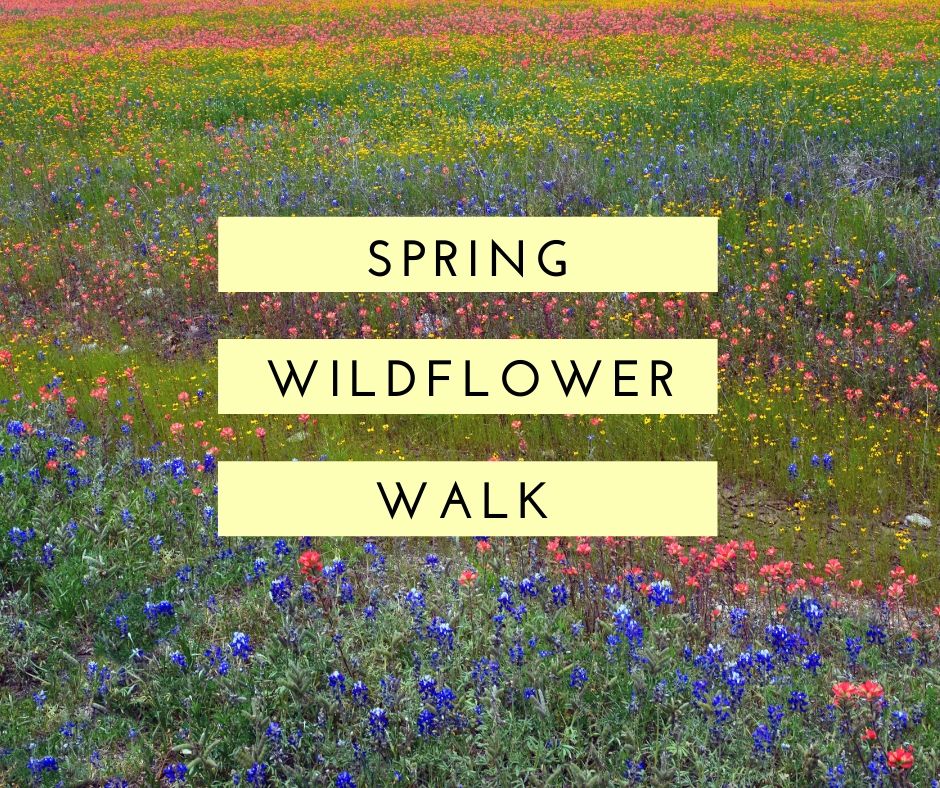 4/9 Wildflower Walk and Photography at Gee Creek Delano, TN – Polk ...