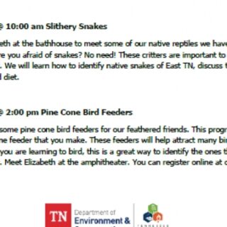 5/31 Slithery Snakes & Pine Cone Bird Feeders Hiwassee Ocoee State Park Delano, TN