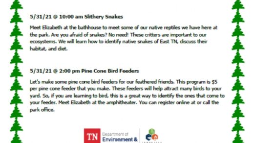 5/31 Slithery Snakes & Pine Cone Bird Feeders Hiwassee Ocoee State Park Delano, TN