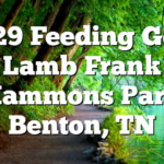6/29-7/1 Feeding God’s Lamb Frank Hammons Park Benton, TN