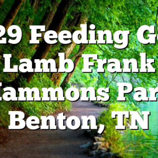 6/29 Feeding God’s Lamb Frank Hammons Park Benton, TN