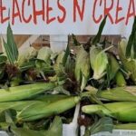 Preaches & Cream Corn SALE Benton, TN