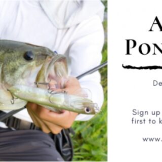 7/20 Arkansas Pondstockers Fish Day Burgess Feed & Hardware Benton, TN