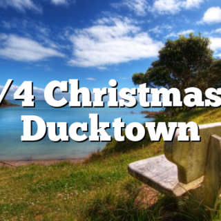 12/4 Christmas in Ducktown