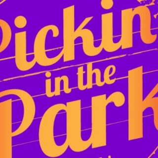 8/26 Pickin’ in the Park Hiwassee Ocoee State Park Delano, TN
