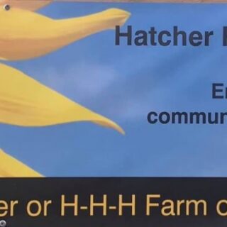 8/3 H-H-H Farm Sunflower Photos FREE for Community