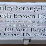 Fresh Brown Eggs Country Strong Farms Ocoee, TN