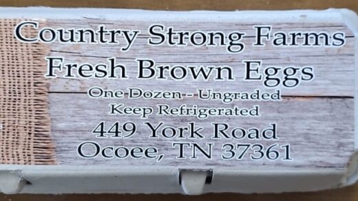 Fresh Brown Eggs Country Strong Farms Ocoee, TN