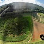 Summer Sweet Corn Ready @ River Maze Ocoee, TN