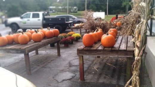 Fall Decor Available at Landscape Plus Benton, TN