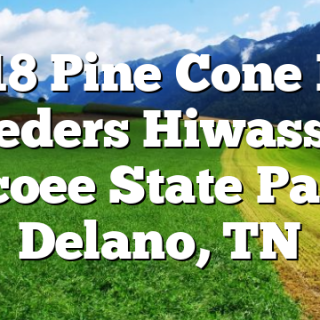 12/18 Pine Cone Bird Feeders Hiwassee Ocoee State Park Delano, TN