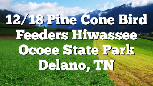 12/18 Pine Cone Bird Feeders Hiwassee Ocoee State Park Delano, TN