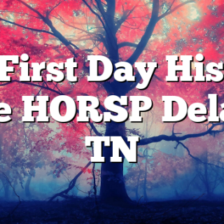 1/1 First Day History Hike HORSP Delano, TN