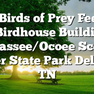 1/23 Birds of Prey Feeding and Birdhouse Building at Hiwassee/Ocoee Scenic River State Park Delano, TN
